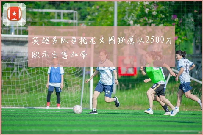 英超多队争抢尤文图斯愿以2500万欧元出售加蒂