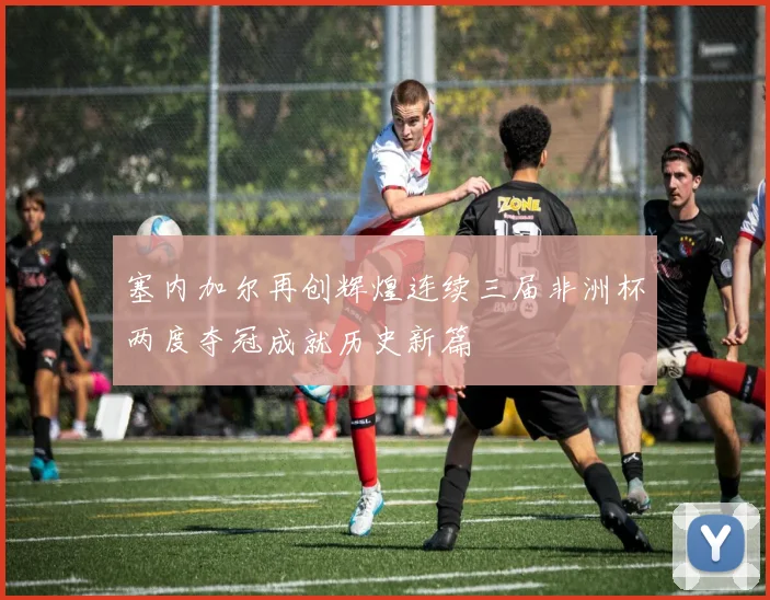 塞内加尔再创辉煌连续三届非洲杯两度夺冠成就历史新篇