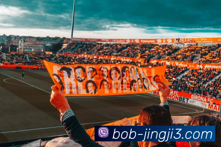 BOB电竞全站App